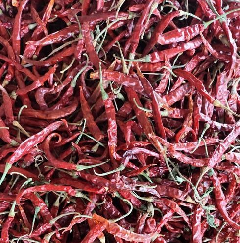 Indian dry red chillies